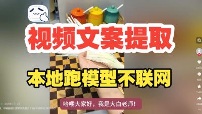 【纯自制,开箱即食】王炸工具!视频文案本地提取语音识别工具,不联网不上传,语音转文本,下载即用,免费无套路!-大白白资源库