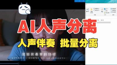 【纯自制,开箱即食】AI人声伴奏分离,一键批量分离人声伴奏,纯本地免安装,打开即用-大白白资源库