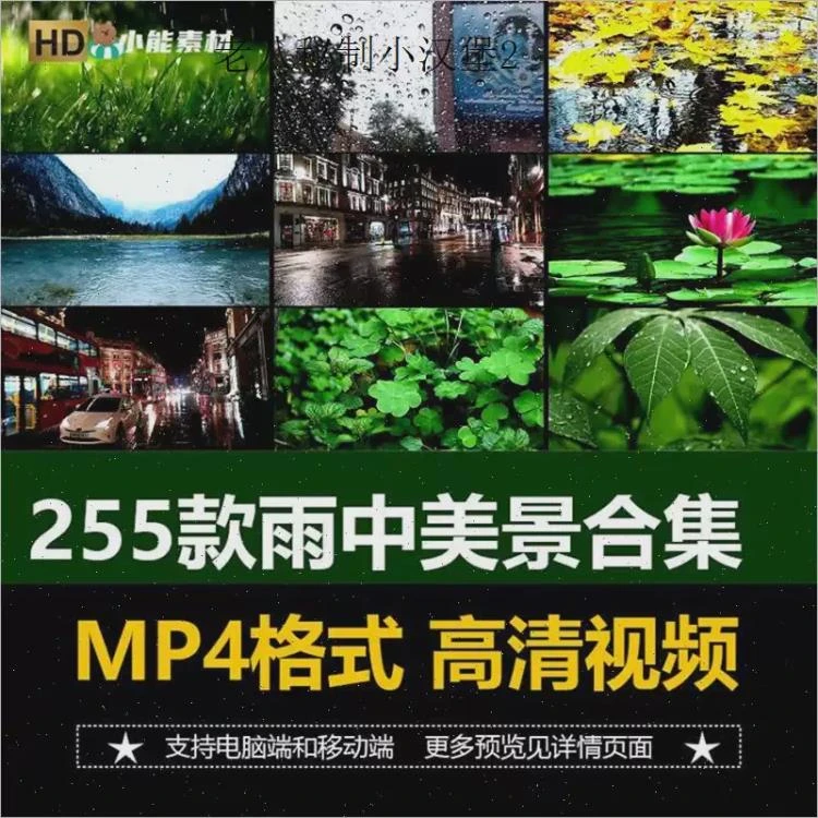 <下雨天空树叶水珠雨中屋檐>唯美意境下的伤感治愈短片剪辑视频素材分享-大白白资源库