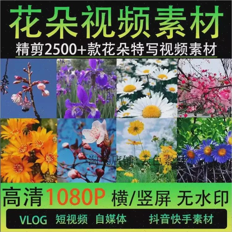 <室外鲜花卉春暖花开风景特写>唯美高清无水印花朵短视频素材剪辑-大白白资源库