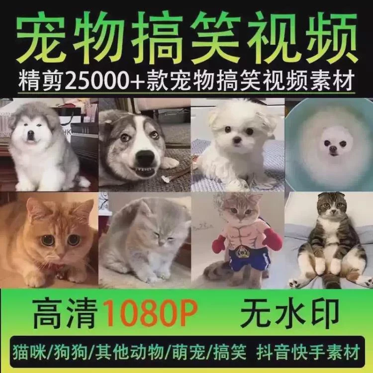 <动物搞笑搞怪视频配音素材>高清抖音快手自媒体热门剪辑的实用合辑包-大白白资源库