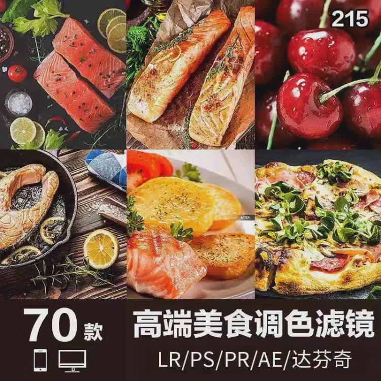 <达芬奇FCPX剪映LUT插件及LR预设PS滤镜PR调色>：高端食品食材美食视频处理工具集合-大白白资源库