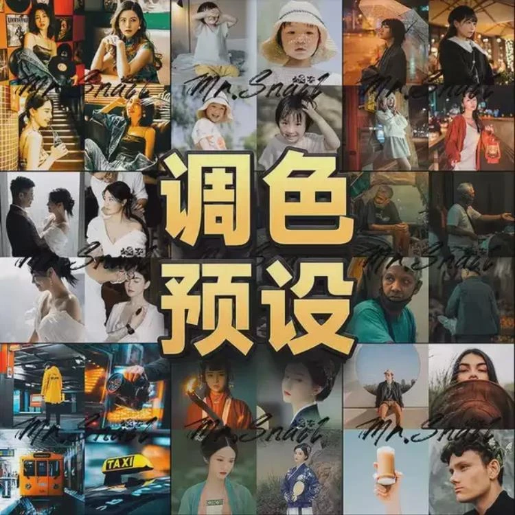 <lr预设与多平台调色LUT>：Lightroom/PS/达芬奇等软件人像胶片调色方案-大白白资源库