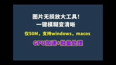 <Real-ESRGAN GUI本地离线版>图片无损放大工具，GPU加速批量处理，支持多平台Windows、macOS等-大白白资源库