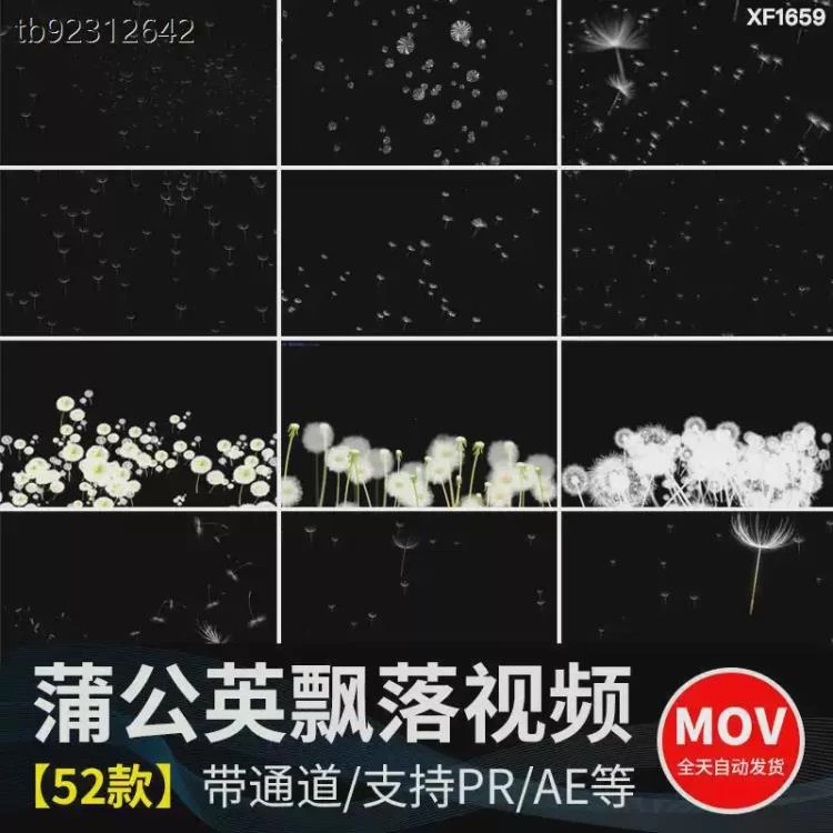 <唯美蒲公英飞舞特效>后期合成视频素材,含上升飘落漂浮效果及透明通道MOV格式-大白白资源库