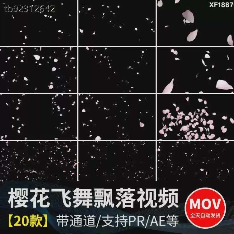 <粉红樱花瓣纷飞飘散元素>唯美浪漫的带透明通道飘落特效MOV视频素材-大白白资源库