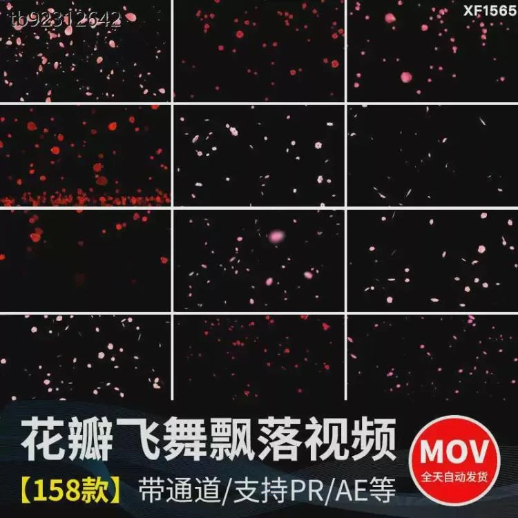 <花瓣飞舞飘落动态特效>:桃花玫瑰花动画素材,含pr/ae透明通道视频-大白白资源库