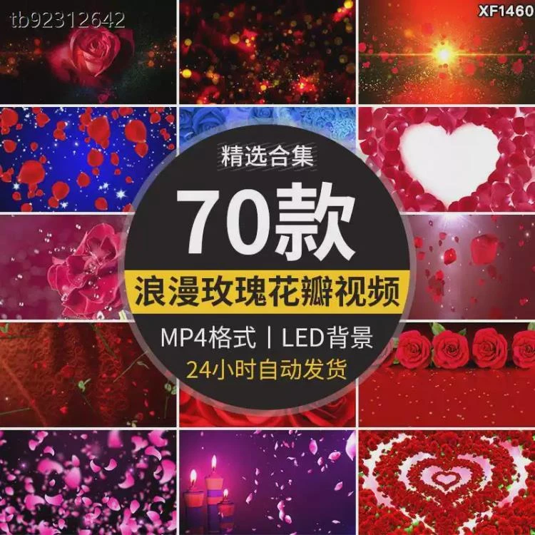<雅致玫瑰花瓣烂漫>婚礼情人节求婚舞台LED大屏布景的创意视频素材推荐-大白白资源库
