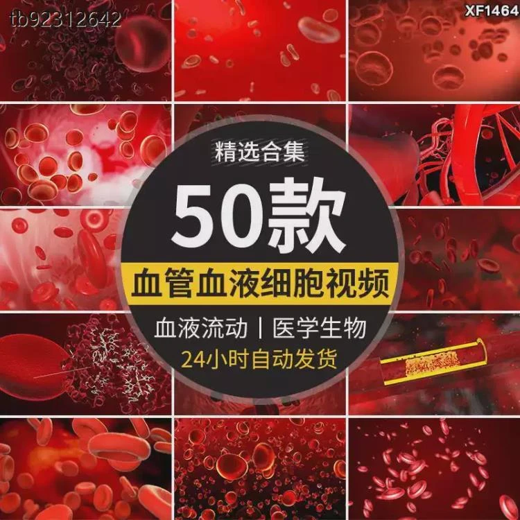 <血液血管红细胞病毒相关医学素材>:适用于抖音快手自媒体的高清剪辑视频-大白白资源库