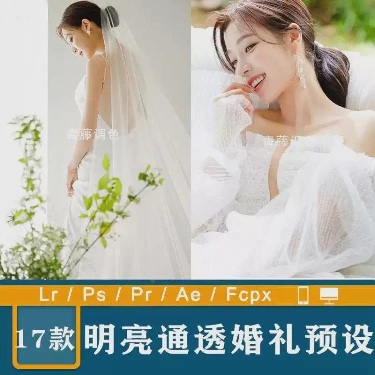 <婚礼跟拍通透清新人像调色>PS滤镜预设及PR/FCPX达芬奇LUT实现唯美明亮效果-大白白资源库