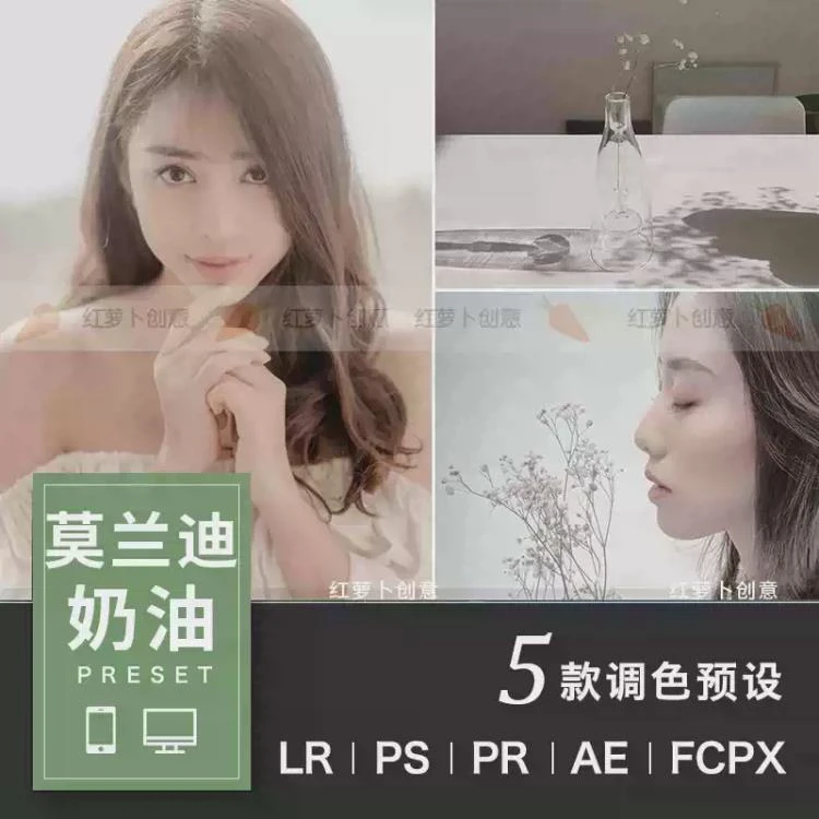 <莫兰迪奶油调色>:PS/PR人像与LR达芬奇婚纱照的Luts滤镜应用方案-大白白资源库