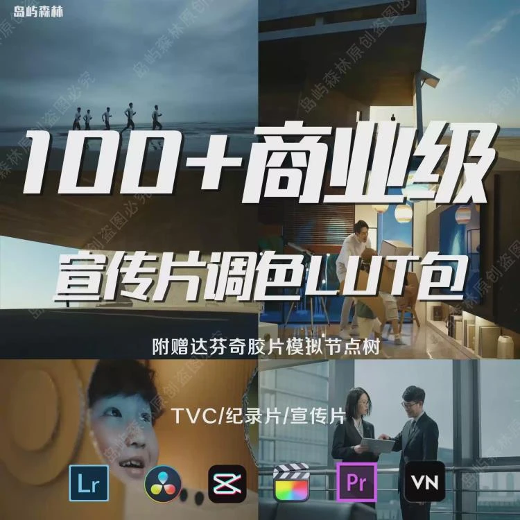 <广告TVC宣传片电影胶片风格化LUT预设>助力达芬奇实现高质量视频调色-大白白资源库