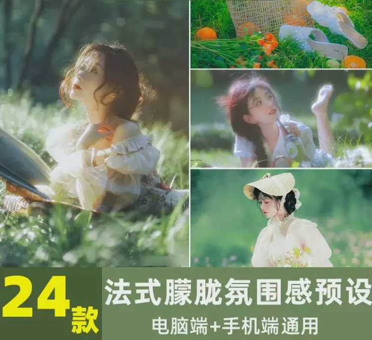 <LR预设法式油画绿风调色滤镜>适用于FCPX/PR达芬奇及手机PS的照片朦胧清新LUT方案-大白白资源库