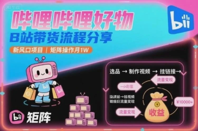 <哔哩哔哩带货流程与矩阵操作>解析：B站新风口项目如何实现月入1W-大白白资源库