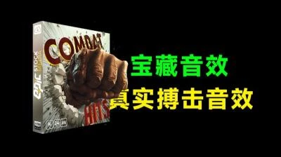 <335+款真实搏击音效>Wolf无损音效包：拳打脚踢、血液飞溅等搏击场景声音效一应俱全-大白白资源库
