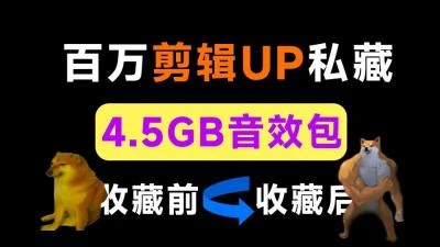 <百万剪辑UP同款4.5GB音效库>超细中文分类,含场景动物动作乐器人声等多样音效-大白白资源库