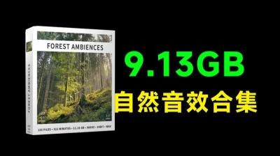 <133个自然森林环境音效素材>超9GB顶级合集，含鸟类鸣叫、风声及树声等纯净自然音效-大白白资源库
