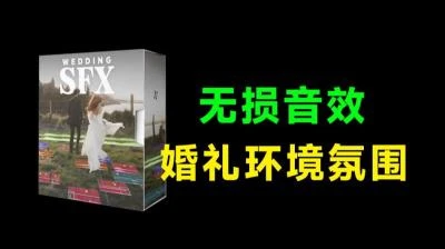 <婚礼环境氛围拟声过渡无损音效素材>合集,适用于婚礼影视制作剪辑,共收录116首-大白白资源库