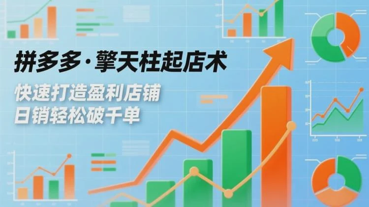 <拼多多擎天柱起店术>:爆流布局策略助力利润提升,实现店铺持续盈利与日销破千单-大白白资源库