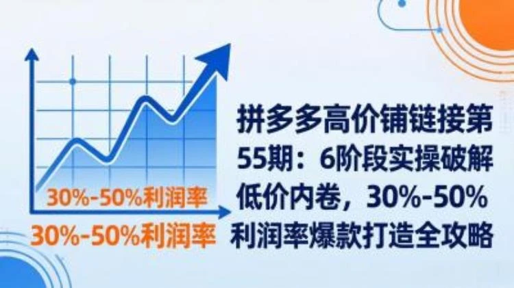 <拼多多高价铺链接6阶段实操>破解低价内卷,实现30%-50%利润率爆款打造攻略-大白白资源库