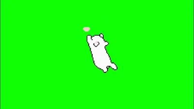 <可爱的小猫动画绿幕叠加素材包>无版权无水印 720p高清绿幕素材分享-大白白资源库