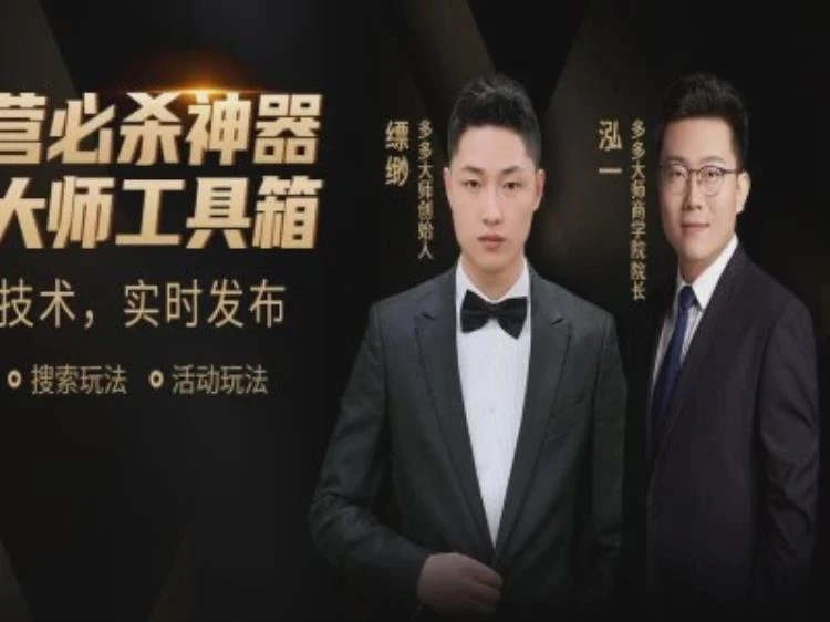 <多多大师泓一弟子班实操课程>:2026年拼多多运营实操技巧深度解析-大白白资源库